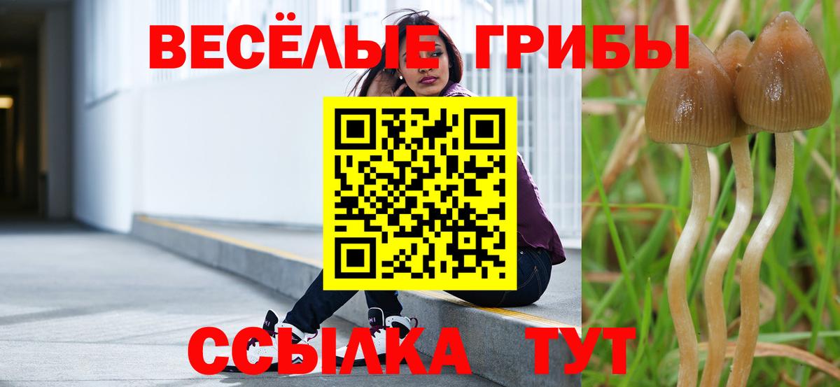Галлюциногенные грибы Cubensis Электросталь